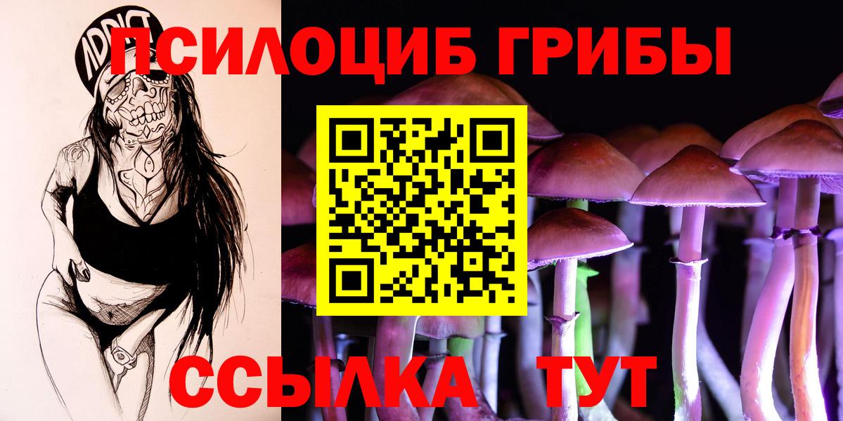 Псилоцибиновые грибы GOLDEN TEACHER Димитровград